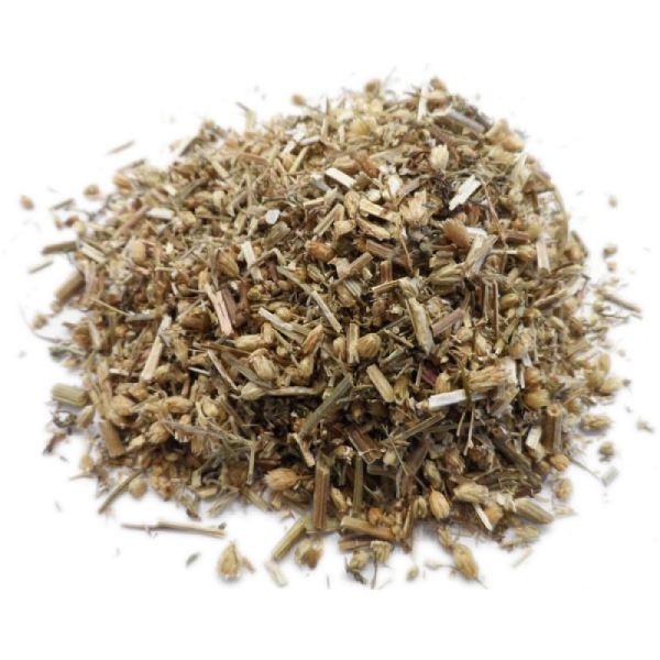 Millefeuille - Achillea millefolium - Sommité fleurie 35g